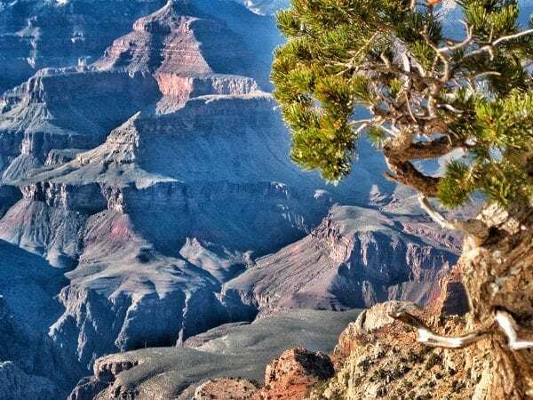 Grand Canyon Picture