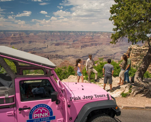 Pink_Jeep