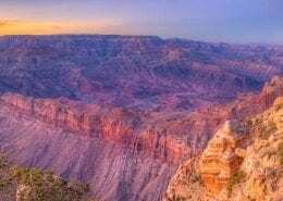 Get your lifetime senior pass for the national parks and federal recreational areas by Aug. 28, or it’ll cost eight times as much, headlines have blared through the summer months.