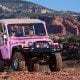 Pink Jeep Tours Grand Canyon