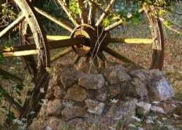 grand canyon music festival