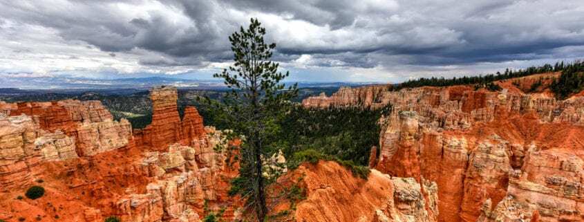 Grand Canyon News Week of Jun 18, 2018