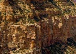Walnut Canyon