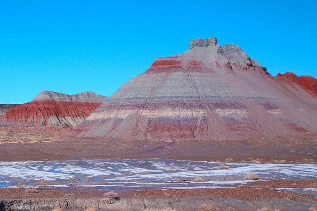 Petrified Forest National Park