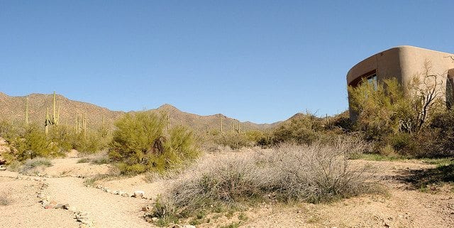 Saguaro National Park