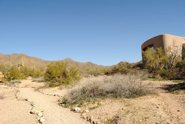 Saguaro National Park