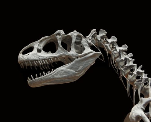 dinosaurs grand canyon