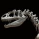 dinosaurs grand canyon