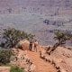Grand Canyon makes list of most popular Facebook check-in spots of 2015