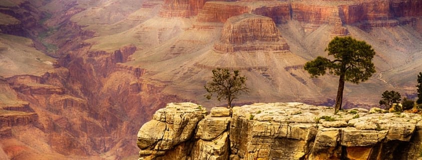 grand canyon crowded memorial day