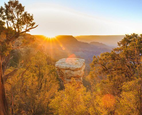 Grand Canyon Fall