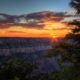 Grand Canyon Dark