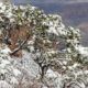 Grand Canyon Winter