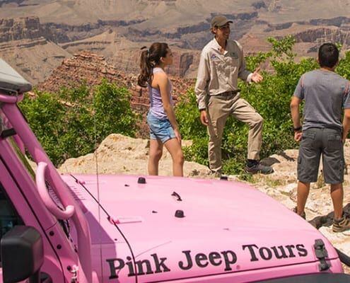 Pink Jeep