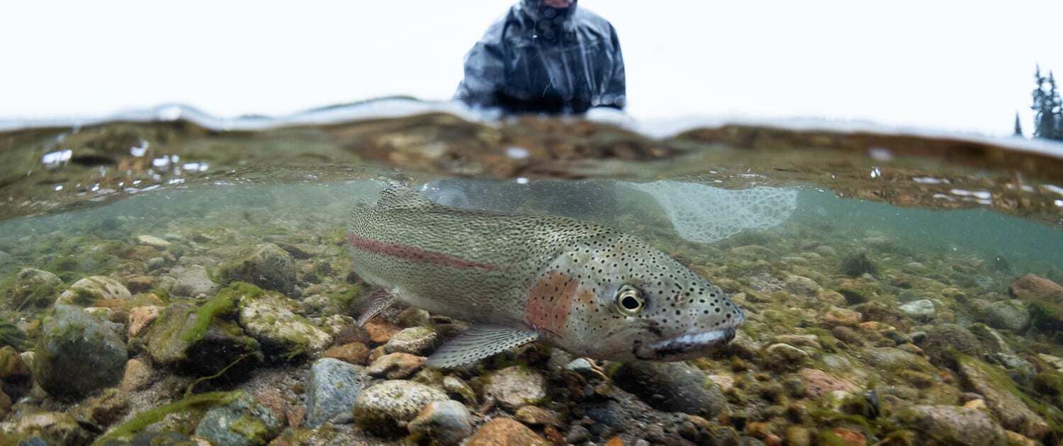 Grand Canyon Fishing
